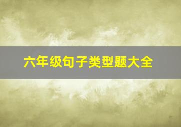 六年级句子类型题大全