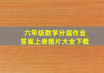 六年级数学分层作业答案上册图片大全下载