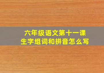 六年级语文第十一课生字组词和拼音怎么写