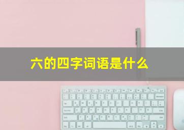 六的四字词语是什么