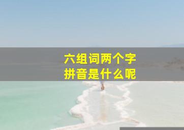 六组词两个字拼音是什么呢