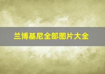 兰博基尼全部图片大全