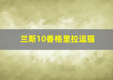 兰斯10香格里拉逗猫