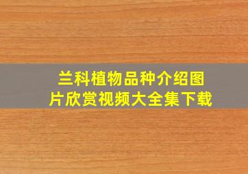 兰科植物品种介绍图片欣赏视频大全集下载