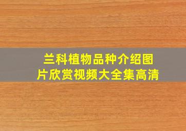 兰科植物品种介绍图片欣赏视频大全集高清