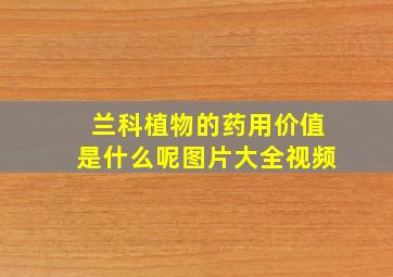 兰科植物的药用价值是什么呢图片大全视频