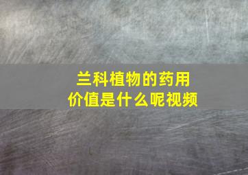 兰科植物的药用价值是什么呢视频