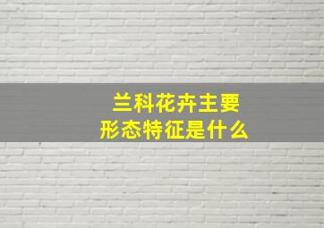 兰科花卉主要形态特征是什么