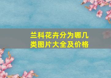 兰科花卉分为哪几类图片大全及价格