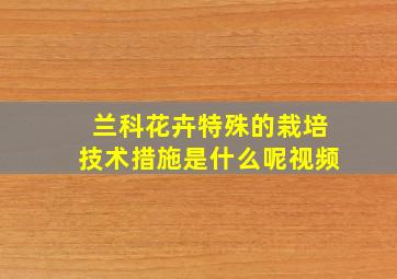 兰科花卉特殊的栽培技术措施是什么呢视频