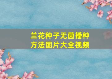 兰花种子无菌播种方法图片大全视频