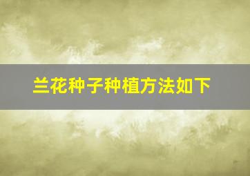 兰花种子种植方法如下