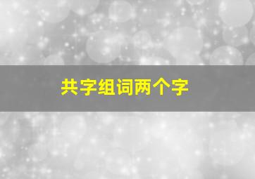 共字组词两个字