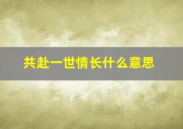 共赴一世情长什么意思