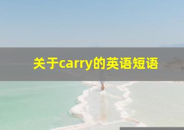 关于carry的英语短语