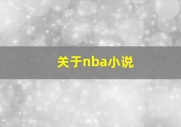 关于nba小说