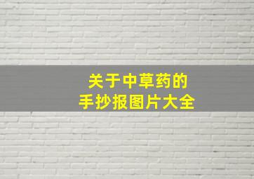 关于中草药的手抄报图片大全