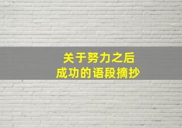 关于努力之后成功的语段摘抄