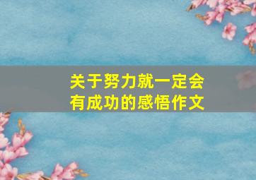 关于努力就一定会有成功的感悟作文