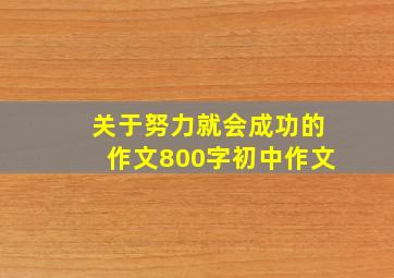 关于努力就会成功的作文800字初中作文