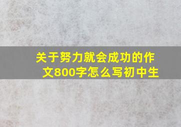 关于努力就会成功的作文800字怎么写初中生