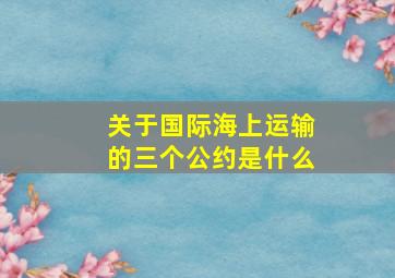 关于国际海上运输的三个公约是什么