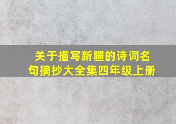 关于描写新疆的诗词名句摘抄大全集四年级上册