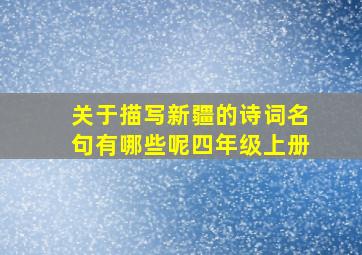 关于描写新疆的诗词名句有哪些呢四年级上册