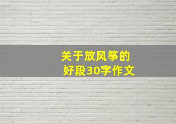 关于放风筝的好段30字作文