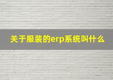 关于服装的erp系统叫什么