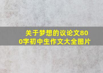 关于梦想的议论文800字初中生作文大全图片