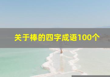 关于棒的四字成语100个