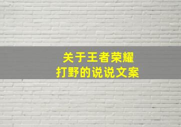 关于王者荣耀打野的说说文案