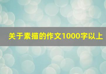 关于素描的作文1000字以上