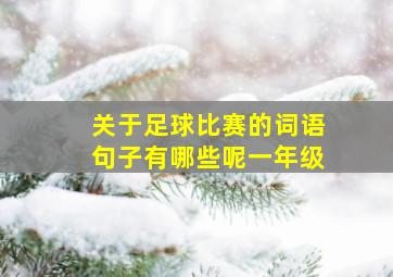 关于足球比赛的词语句子有哪些呢一年级