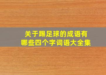 关于踢足球的成语有哪些四个字词语大全集