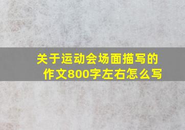 关于运动会场面描写的作文800字左右怎么写