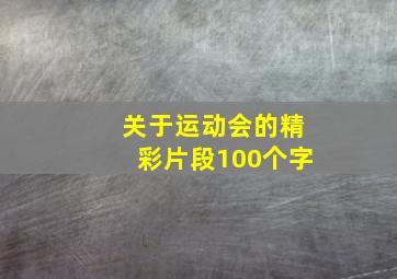 关于运动会的精彩片段100个字