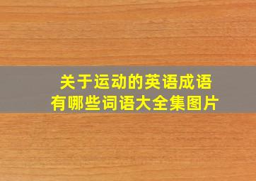 关于运动的英语成语有哪些词语大全集图片