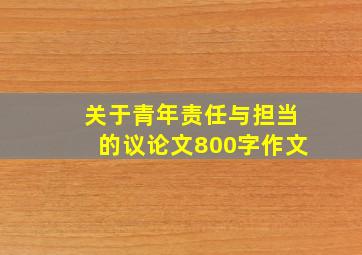 关于青年责任与担当的议论文800字作文