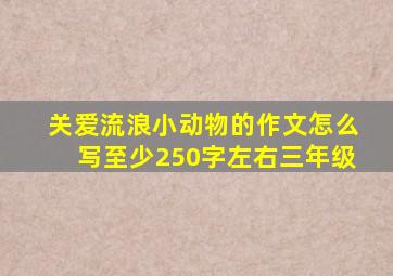 关爱流浪小动物的作文怎么写至少250字左右三年级