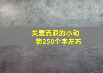 关爱流浪的小动物250个字左右