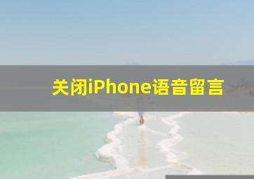 关闭iPhone语音留言