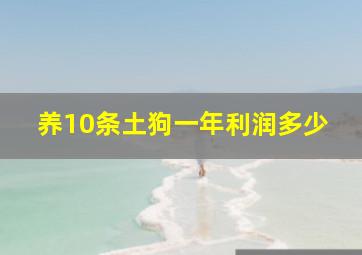 养10条土狗一年利润多少