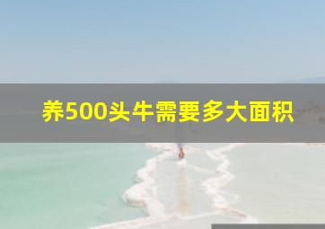 养500头牛需要多大面积