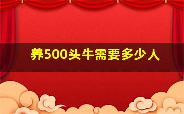 养500头牛需要多少人