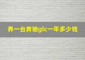 养一台奔驰glc一年多少钱