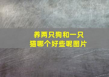 养两只狗和一只猫哪个好些呢图片