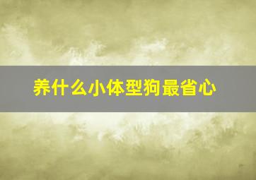 养什么小体型狗最省心