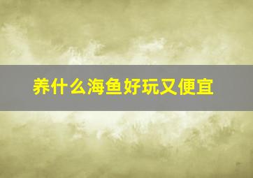 养什么海鱼好玩又便宜